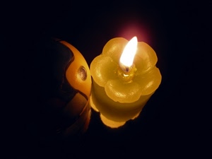 candela, cera, fiamma, nero, giallo, fiore, stoppino, bianco, buio, luce, petali, fiammella, fuoco