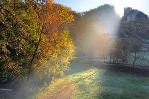 alberi, luce, verde, autunno, sole, raggio, prato, giallo, rosso, foglie, cielo, rami, erba, raggi, colori, natura, controluce, nebbia