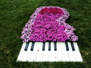 fiori, tasti, verde, pianoforte, rosa, prato, erba, tastiera, bianco, nero, aiuola, rosso, viola, neri, bianchi