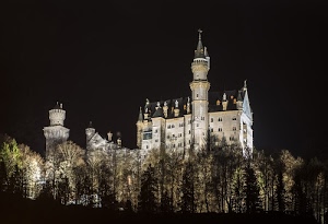 alberi, castello, torri, notturno, notte, finestre, nero, guglie, comignoli, verde, illuminazione, baviera