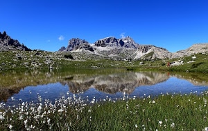 fiori, cielo, lago, riflesso, erba, verde, montagna, acqua, azzurro, rocce, montagne, riflessi, piante, prato, bianco, laghetto, monti
