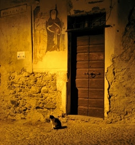 gatto, porta, portone, legno, notturno, affresco, murales, luce