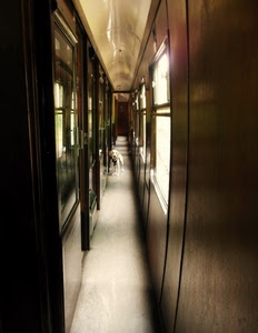 corridoio, cane, treno, prospettiva, finestrini, porte, finestre
