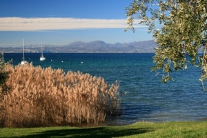 lago, barche, acqua, nuvole, blu, albero, canne, canneto, prato, panorama, azzurro, cielo, rami