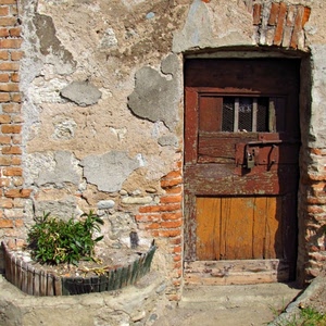 porta, lucchetto, mattoni, pianta, muro, verde, legno, chiavistello, marrone, catenaccio, aiuola, casa, piante, vecchio, rudere, scrostato, intonaco