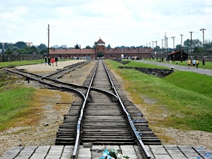 verde, erba, binari, persone, campo, prato, cielo, legno, ferrovia, rotaie, nuvole, traversine, curve, rotaia, pali, lampioni, treno