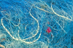 rosso, azzurro, rete, corda, bianco, pesca, reti, fili, mare, intreccio, galleggiante, maglie, groviglio, intrecci, corde, blu, fune, pescare