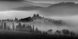 alberi, nebbia, colline, paesaggio, bianco, foschia, bianconero, nero, case, evanescenze, collina
