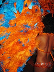 piume, arancione, costume, donna, carnevale, ballerina, blu, azzurro, celeste, arancio
