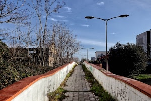 lampioni, alberi, cielo, muretti, periferia, piante, erba, case, passaggio, strada, lampione, rami, verde, città, azzurro, nuvole
