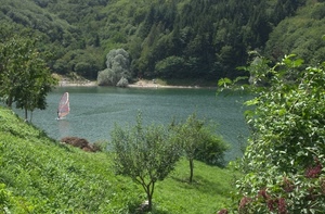 alberi, lago, verde, acqua, windsurf, vela, montagna, foglie