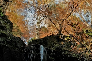 alberi, cascata, autunno, acqua, foglie, rocce, natura, arancione, bosco, rami, tronchi, roccia, cielo, giallo, verde, ottobre
