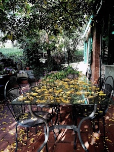 sedie, foglie, tavolo, alberi, casa, vetro, autunno, verde, giardino, ferro, giallo, persiane, finestre, fiori, cristallo, gialle