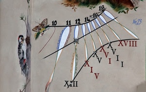 meridiana, numeri, farfalla, uccello, picchio, romani, animali