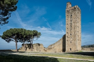 torre, pini, cielo, alberi, ruderi, mura, prato, muro
