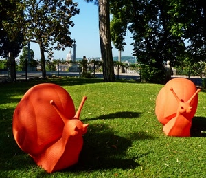 prato, lumache, arancione, chiocciole, due, verde, alberi, arancio, parco, erba