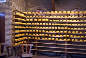 sedie, legno, forme, mattoni, formaggio, formaggi, porta, giallo, scaffali, muro, ripiani, tanti, file, archi, scaffale, cantina, stagionatura, finestre