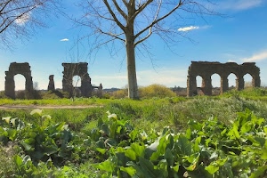 verde, albero, archi, erba, cielo, acquedotto, rami, foglie, ruderi, nuvole, sentiero, romano, prato, cespugli, rudere, azzurro, campagna, rovine