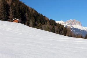 neve, montagna, bianco, inverno, alberi, baita, casetta, bosco