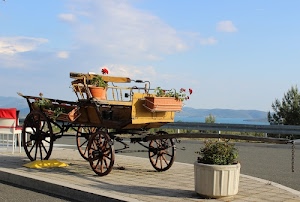 ruote, fiori, vasi, carro, carretto, strada, legno, nuvole, sedie, vaso, rosso, albero, raggi, timone, carrozza, cielo, quattro, fioriere, calesse