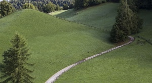 alberi, verde, strada, sentiero, erba, prato, staccionata, prati, abeti, montagna, pini, curva, collina, bosco, percorso