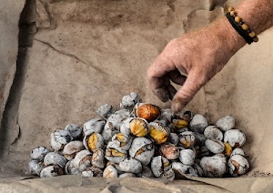 castagne, mano, caldarroste, bracciale, dita, braccialetto, carta, autunno, cenere, arrostite, mucchio, bucce, buccia, grigio, cotte, giallo, aperte