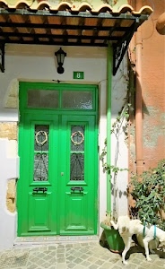 verde, cane, porta, vaso, tettoia, piante, uscio, tegole, portone, vetri, rampicante, casa, numero, lampione, pipì, animale, pianta, bianco, vetrate, ingresso, maniglie, lampada, ferro, pensilina