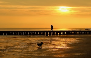 tramonto, mare, sole, pontile, cielo, acqua, dorato, molo, controluce, riflessi, persone, alba, onde, fotografo, nuvole, giallo, oro, uccello, sfumature, silhouette