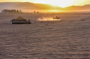 deserto, tenda, sabbia, palme, tramonto, oasi, polvere, sole, cammelli, montagne, persone, luce, cielo, giallo, cavalli, dromedari