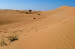 sabbia, deserto, cielo, erba, dune, cespugli, azzurro, verde, orme, duna, orizzonte, impronte, ciuffi, onde, tracce