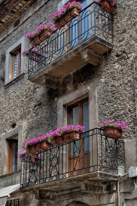 fiori, vasi, balconi, finestre, ringhiere, balcone, rosa, due, ferro