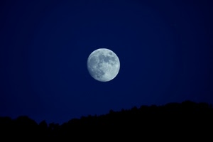 luna, cielo, notte, blu, satellite, crateri, nero, piena
