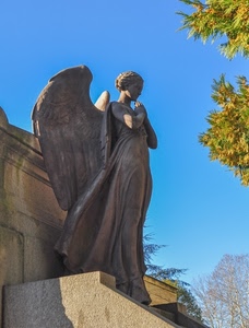 angelo, ali, statua, marmo, cielo, alberi, preghiera, azzurro, monumento