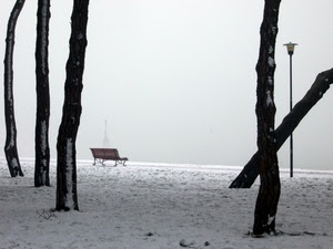 neve, panchina, lampione, alberi, tronchi, inverno, nebbia, bianco
