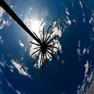 nuvole, cielo, controluce, albero, azzurro, blu, silhouette, antenna