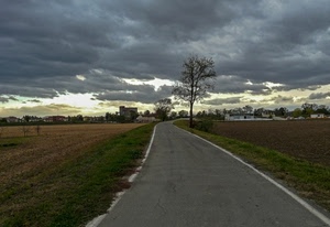 strada, nuvole, albero, campi, curva, cielo, case