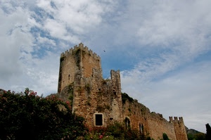 castello, torre, cielo, rudere, merli, nuvole, rovine, rocca, finestre, fiori