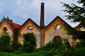 ciminiera, fabbrica, piante, verde, rudere, rovine, alberi, abbandono, ruderi, capannoni, cielo
