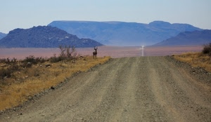 animale, strada, montagne, terra, erba, cielo, panorama, deserto, cespugli, verde, prospettiva, corna, colline, sterrata, montagna