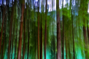 verde, alberi, tronchi, bosco, mosso, marrone, legno, foglie, astratto, azzurro, verticali, tronco, cielo, linee