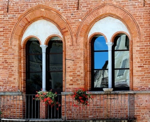 fiori, balcone, riflesso, finestre, finestra, vetri, ringhiera, colonne, porta, rosso, riflessi