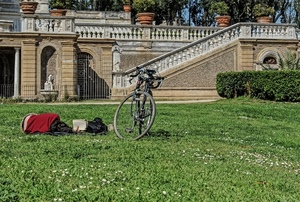 prato, bicicletta, vasi, scale, parco, scalinata, verde, libro, scala, siepe