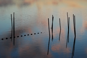 acqua, pali, riflessi, nuvole, riflesso, lago, tramonto, rete, minimal, minimalismo, galleggianti, mare, rosa
