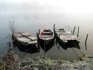 barche, acqua, tre, nebbia, lago, fiume, riva, barca, pali, foschia