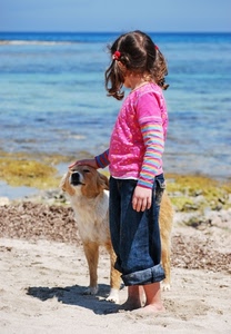 mare, cane, bambina, spiaggia, sabbia, carezza, rosa