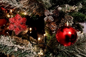 natale, albero, rosso, palla, pigne, stella, sfera, rossa, decorazioni, palle, luci