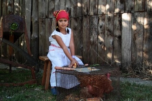 bambina, gallina, gabbia, bandana, mais, campagna, legno