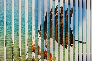 farfalla, insetto, mare, fiori, ali, colori, acqua, murales, tenda, linee