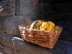 limoni, cesto, giallo, pietre, frutta, muro, pietra, intrecciato, manico, appoggio, grigio, massi, vimini, cartello, agrumi, sassi, ombra