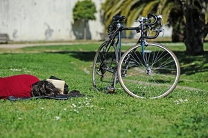 bicicletta, erba, prato, libro, parco, riposo, ruota, verde, rosso, leggere, persona